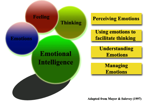 emotional intelligence