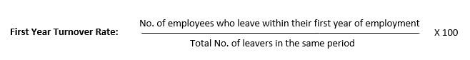 New Employee Turnover Rate example