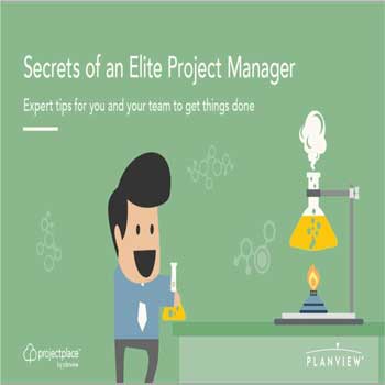 Project Manager